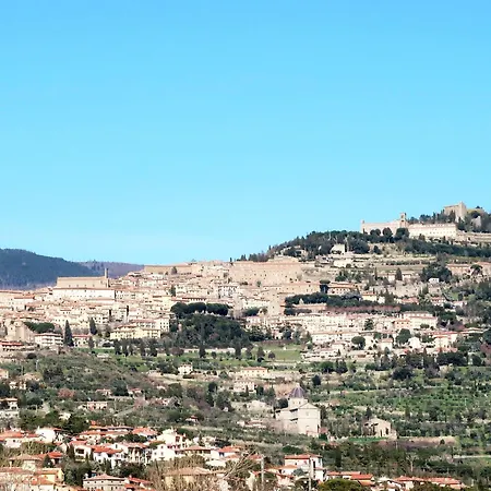 Il Grifone-2 By Interhome Apartment *